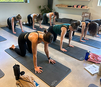 Movement Principles Pilates class at ALIGN Pilates Studios